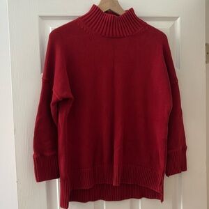 Everlane Red Turtleneck Sweater